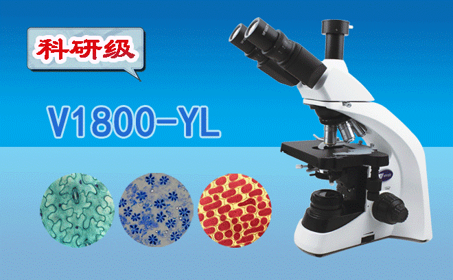 醫用生物顯微鏡.png